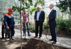 Новая оранжерея Ботанического сада откроется для посетителей осенью