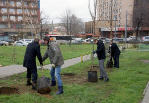 В Москве в рамках программы "Моя улица" высадят новые деревья