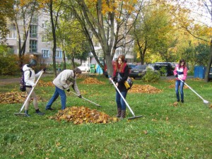 Жители Москвы выберут способ уборки листвы с помощью голосования в «Активном гражданине»