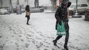 Самый мощный снегопад за последние полвека прошел в Москве на прошлой неделе