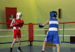 В соревнованиях по боксу приняли участие ученики средних образовательных учреждений, секций ЮАО и соседних округов