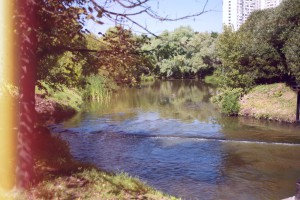 Перекусить или просто отдохнуть на свежем воздухе зябликовцы смогут на пойме реки Городни