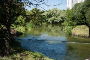 Перекусить или просто отдохнуть на свежем воздухе зябликовцы смогут в пойме реки Городни