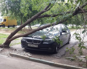 Последствия грозы не обошли стороной и Зябликово