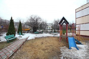 ореховый Б-р 55 (2)