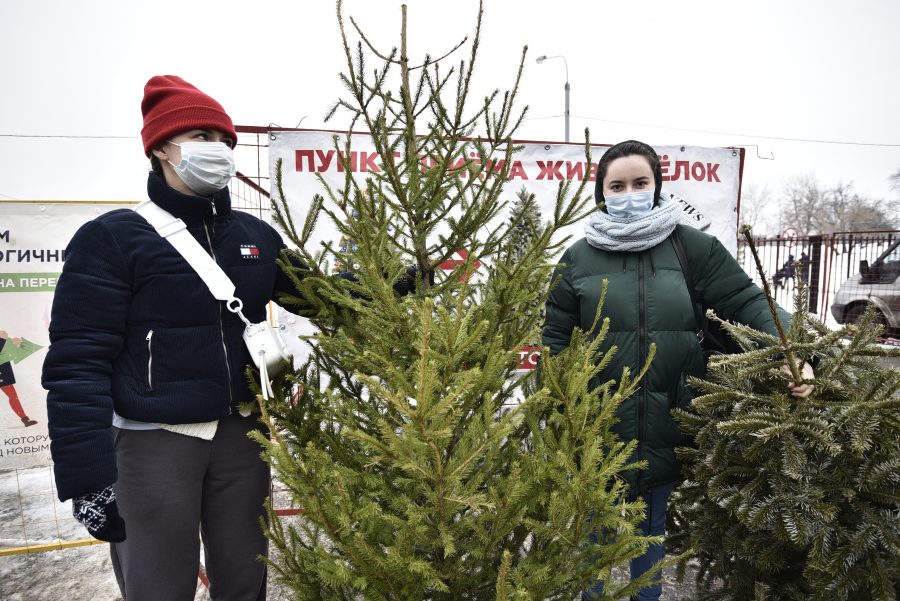 Москвичей призвали сдать елки на переработку