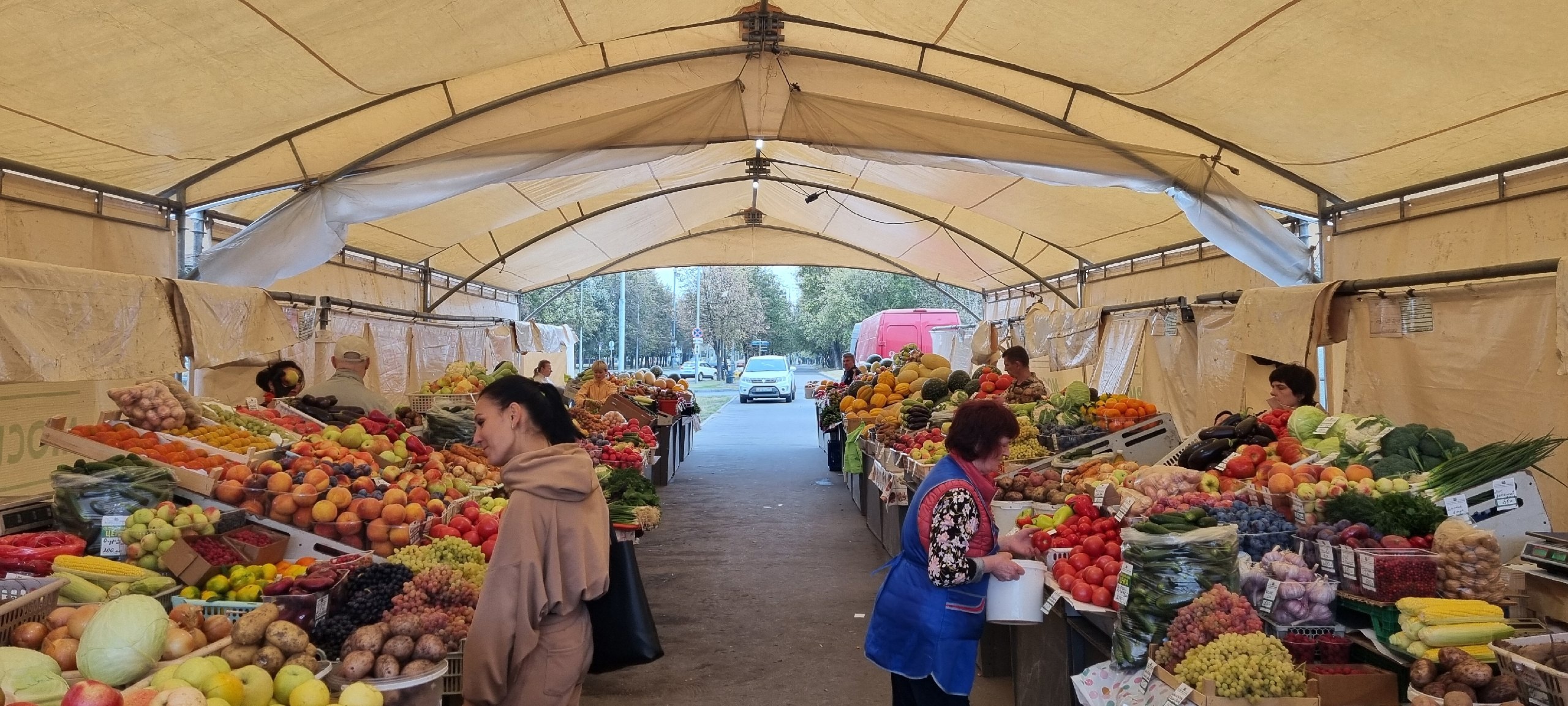 Фото: страница Светлана Анисимова в социальных сетях