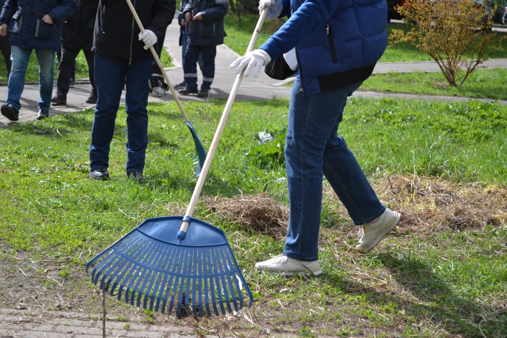Фото: Сафиуллин Руслан, «Вечерняя Москва»