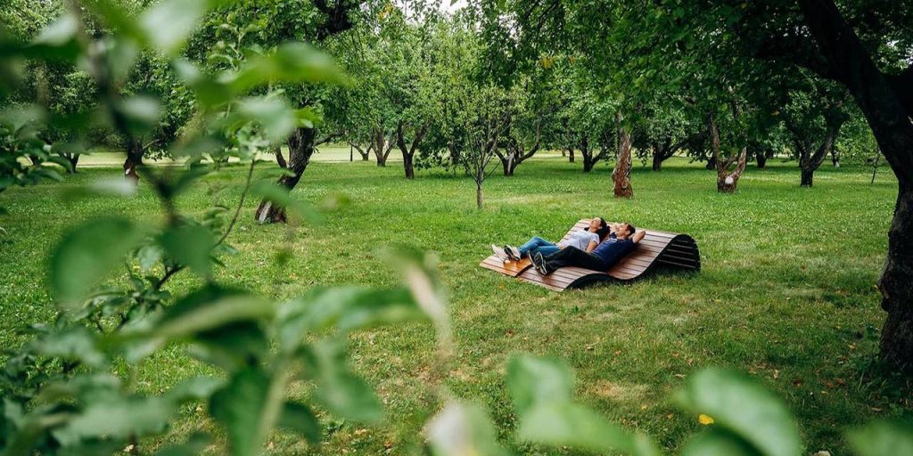 Как защититься от клещей: от профилактики до первой помощи и вакцинации. Фото: сайт мэра Москвы