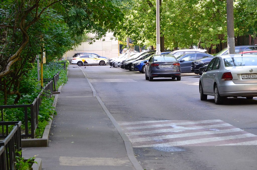 Фото: Анна Быкова, «Вечерняя Москва»