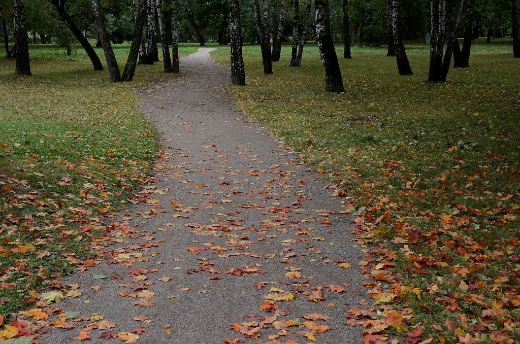 Фото: Анна Быкова, «Вечерняя Москва»