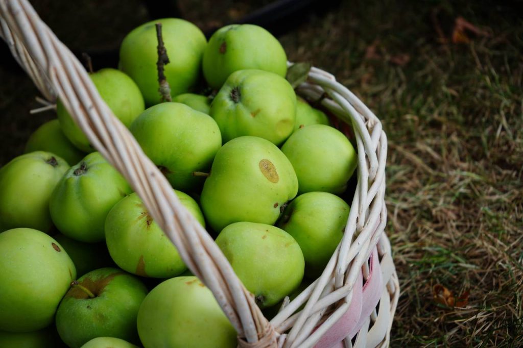 Мероприятие о правильном питании состоится в библиотеке №145. Фото: Анна Быкова, «Вечерняя Москва»