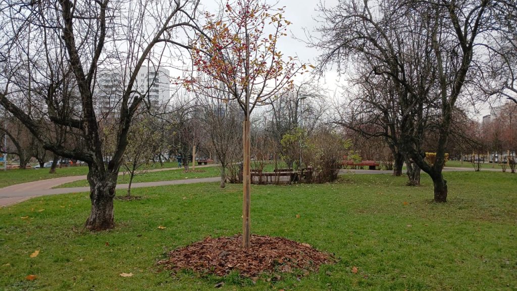 Фото: Telegram-канал управы района Зябликово