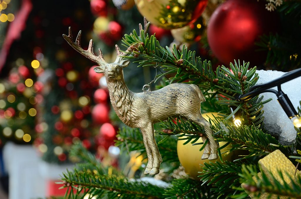 Елочные базары открыли в районе Зябликово. Фото: Анна Быкова, «Вечерняя Москва» 