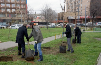 В Москве в 2016 продолжится акция "Миллион деревьев"