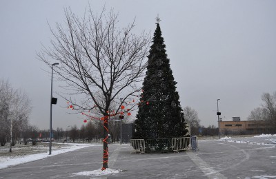 На Фонтанной площадки в парке "Садовники" будут праздновать Рождество