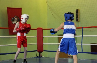 В образовательном комплексе №2116 состоялся традиционный открытый турнир по боксу среди школьников