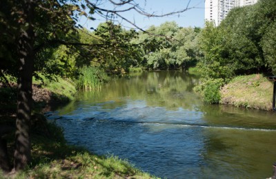 На фото природный комплекс возле реки Городни, который привели в порядок в прошлые выходные