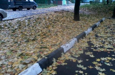 Зябликовцы сообщили на сайте, что опавшая листва не убирается уже несколько недель
