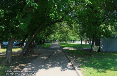 Зеленые насаждения в районе Зябликово