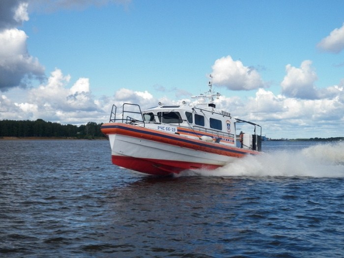 Спасли собаку из водостока