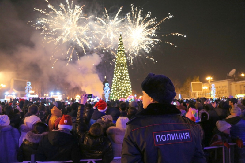 Новый год, полиция, сайт МВД России 2612