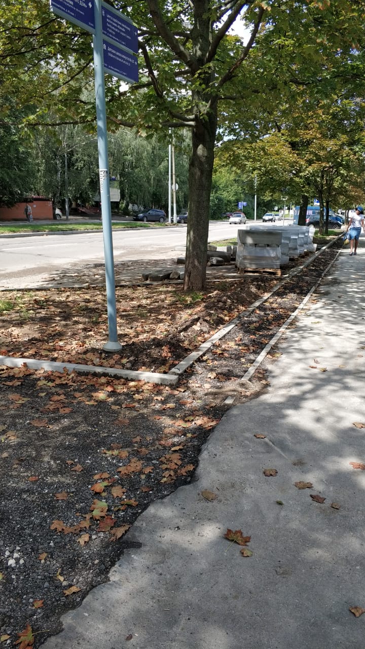 Кустанайская, благоустройство, замена асфальта, бортовой камень, 2207 (9)