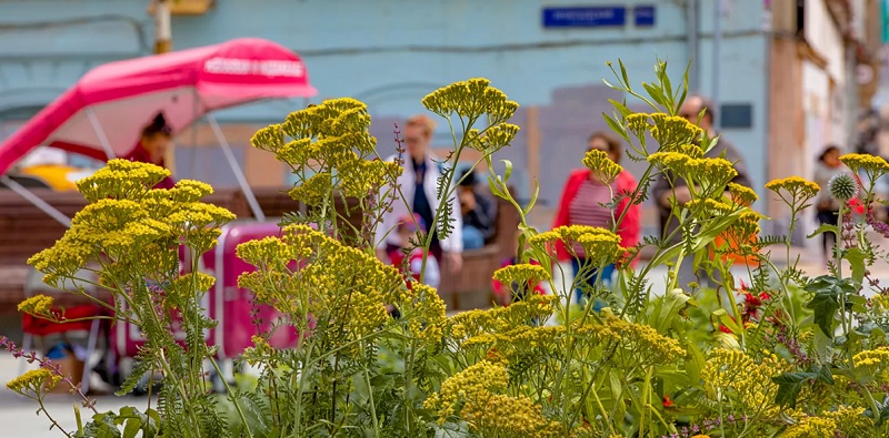 Цветочный-джем-фестиваль-лето-цветы-мосру-15081