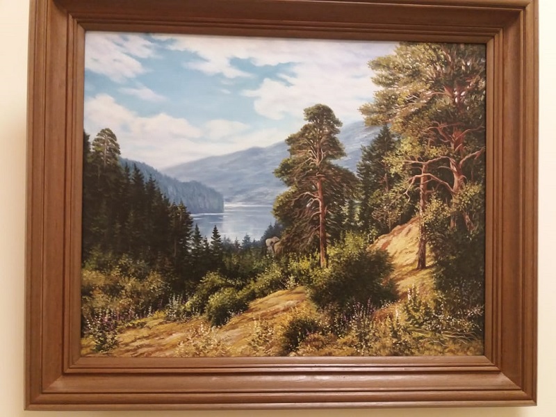 Виталий Чеченков, долголетие, картины, ТЦСО, 1209 (2)