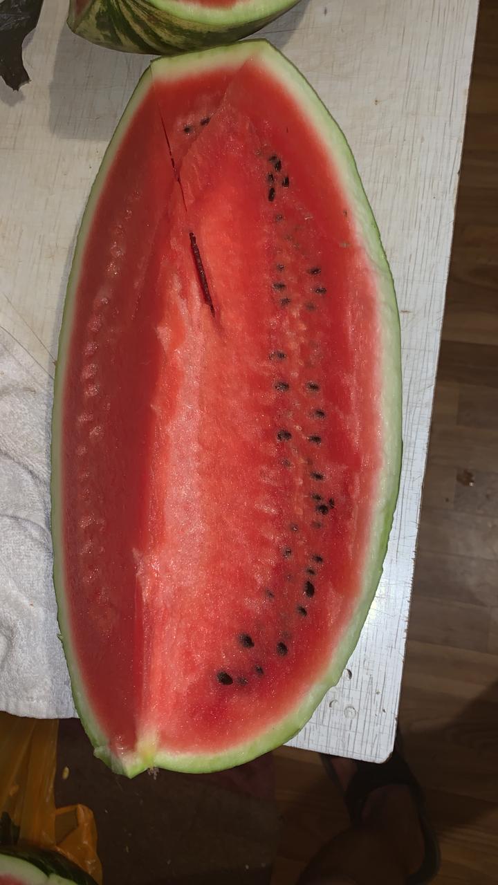 бахчевой развал, Шариддин Исматуиллов, арбуз, дыня, шипиловская, 0509 (11)