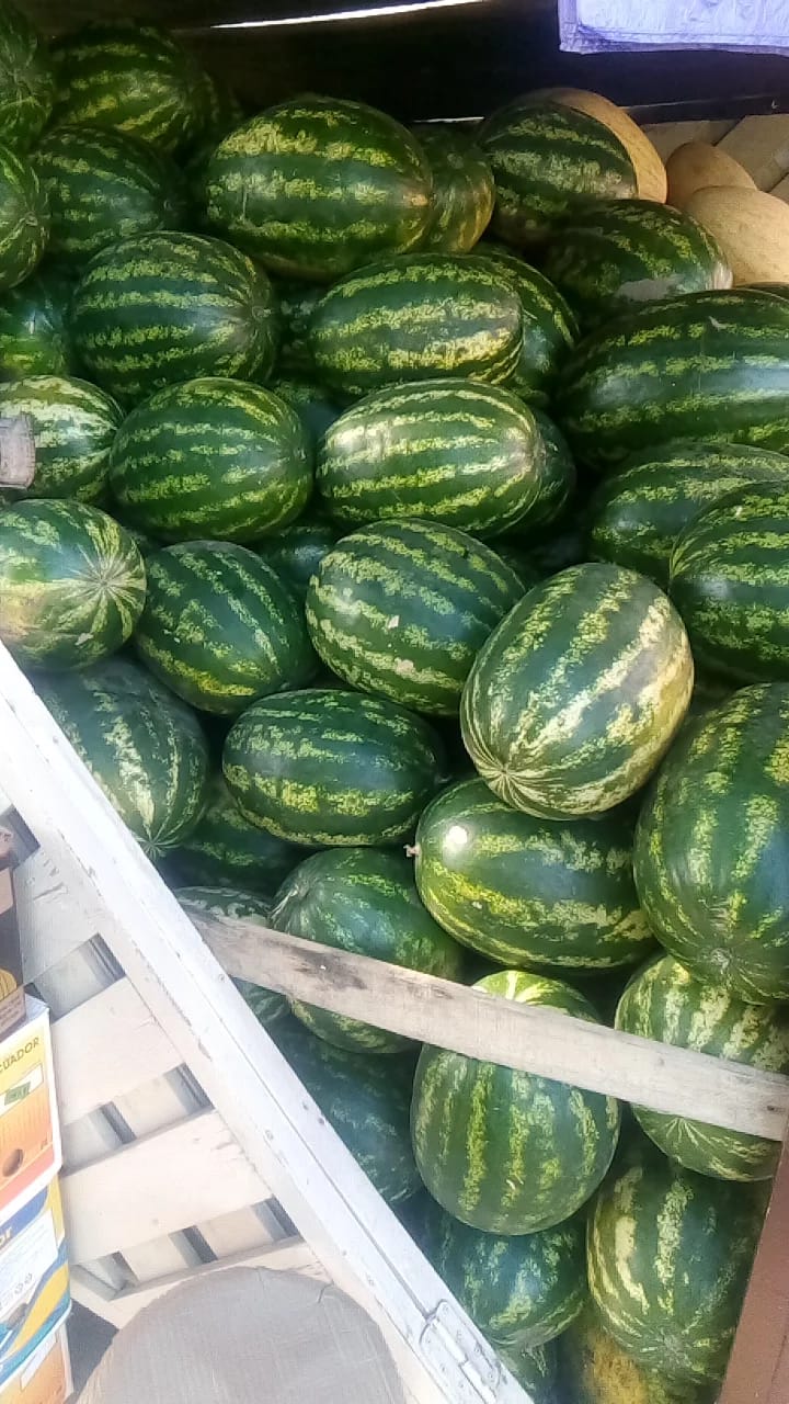 бахчевой развал, Шариддин Исматуиллов, арбуз, дыня, шипиловская, 0509 (9)