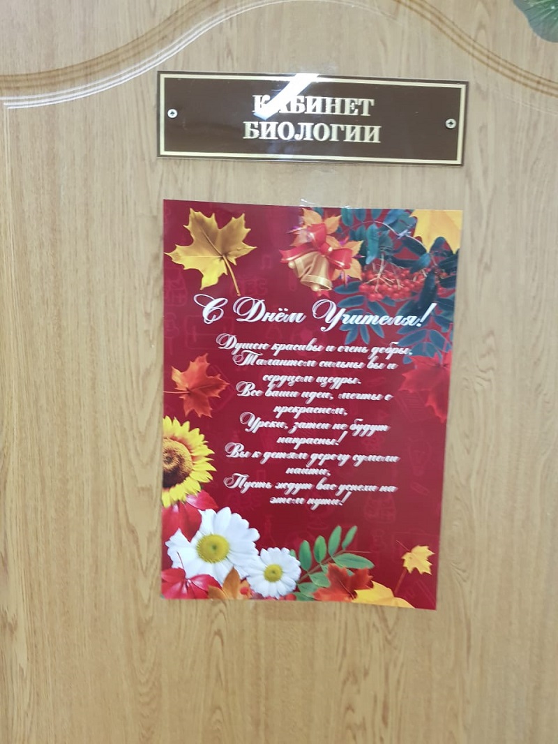 школа 2116, День учителя, день самоуправления, Богданова, 0710 (14)