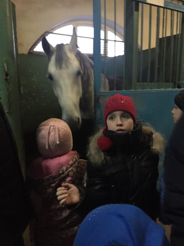 Планета Семьи, лошади, дети, 2401 (2)