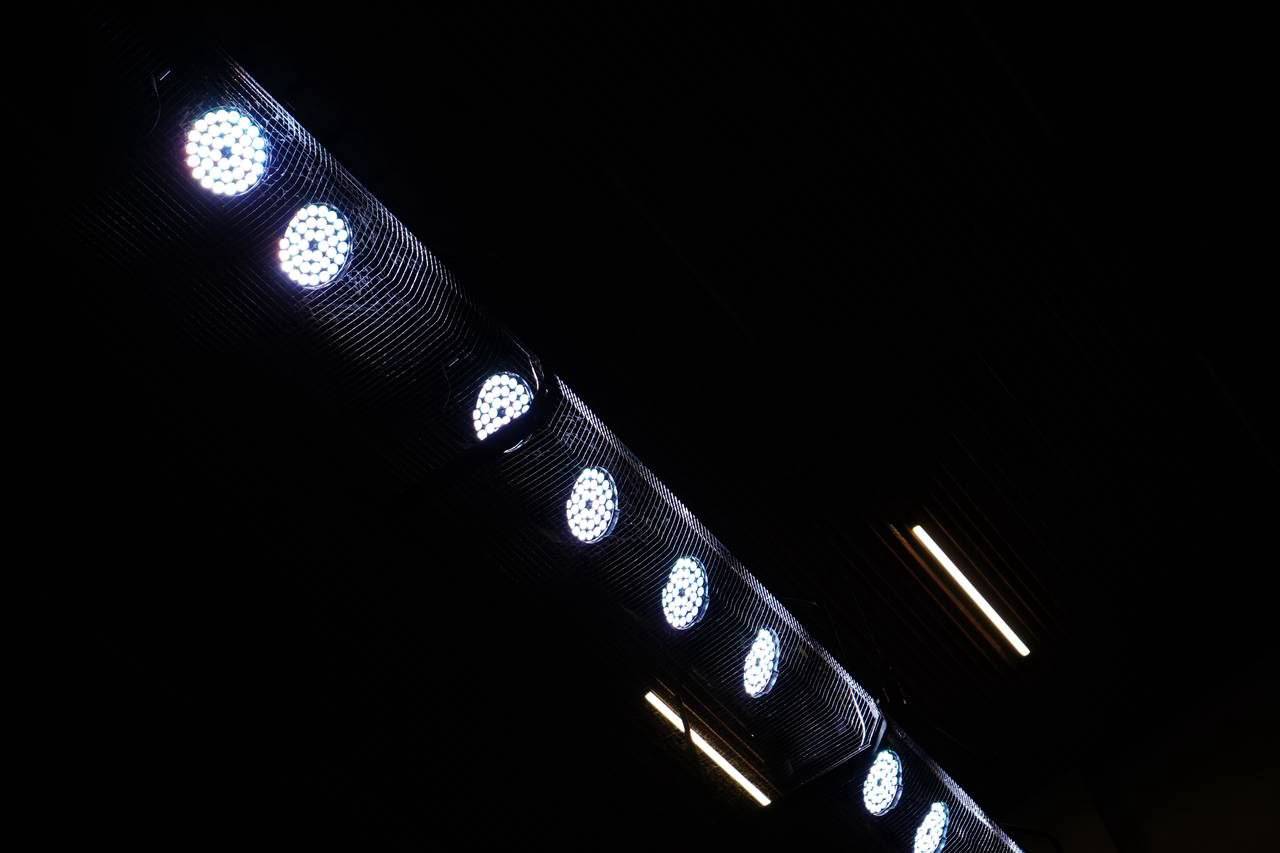 Фото: Анна Быкова, «Вечерняя Москва»