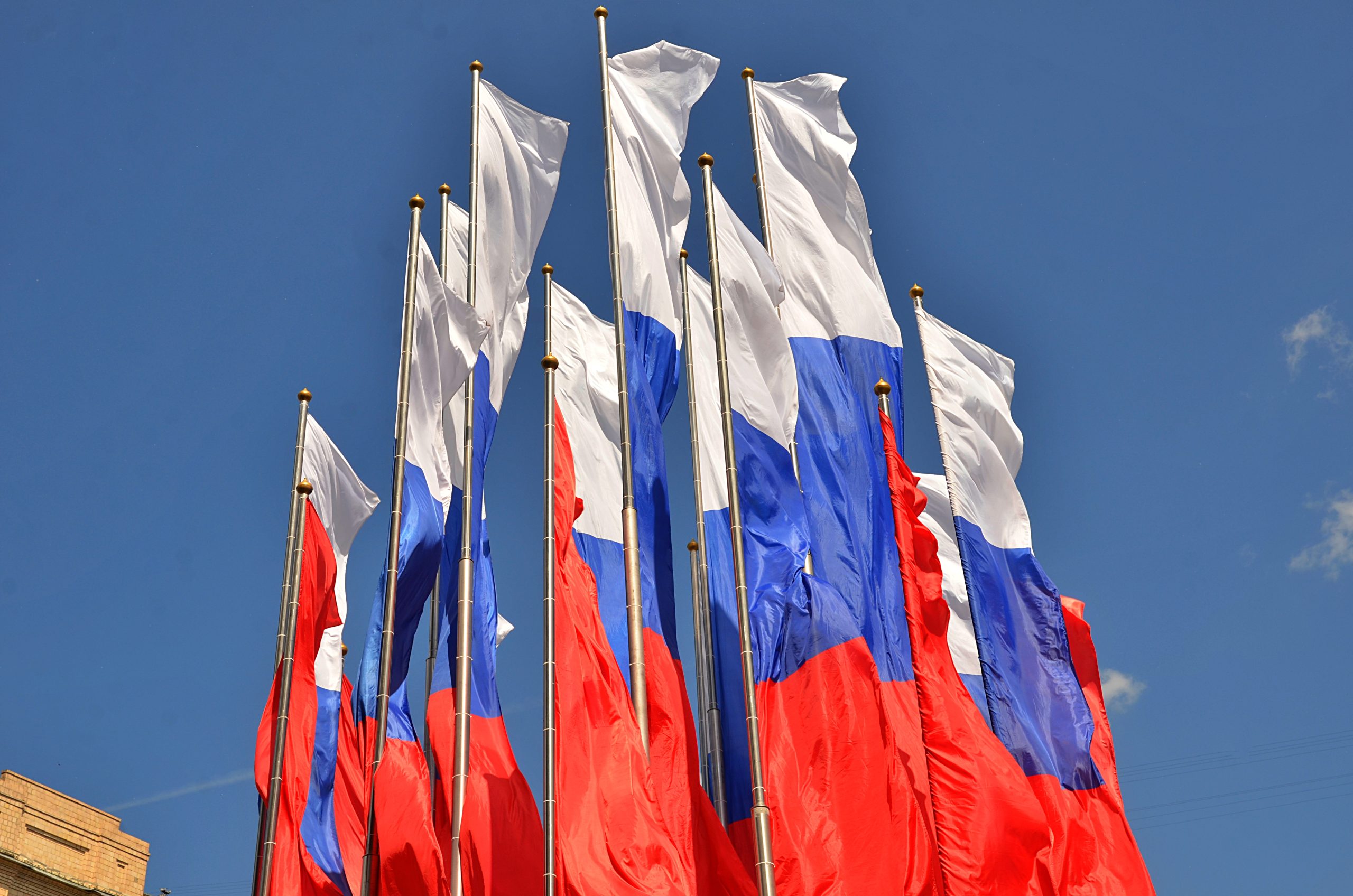 Фото: Анна Быкова, «Вечерняя Москва»