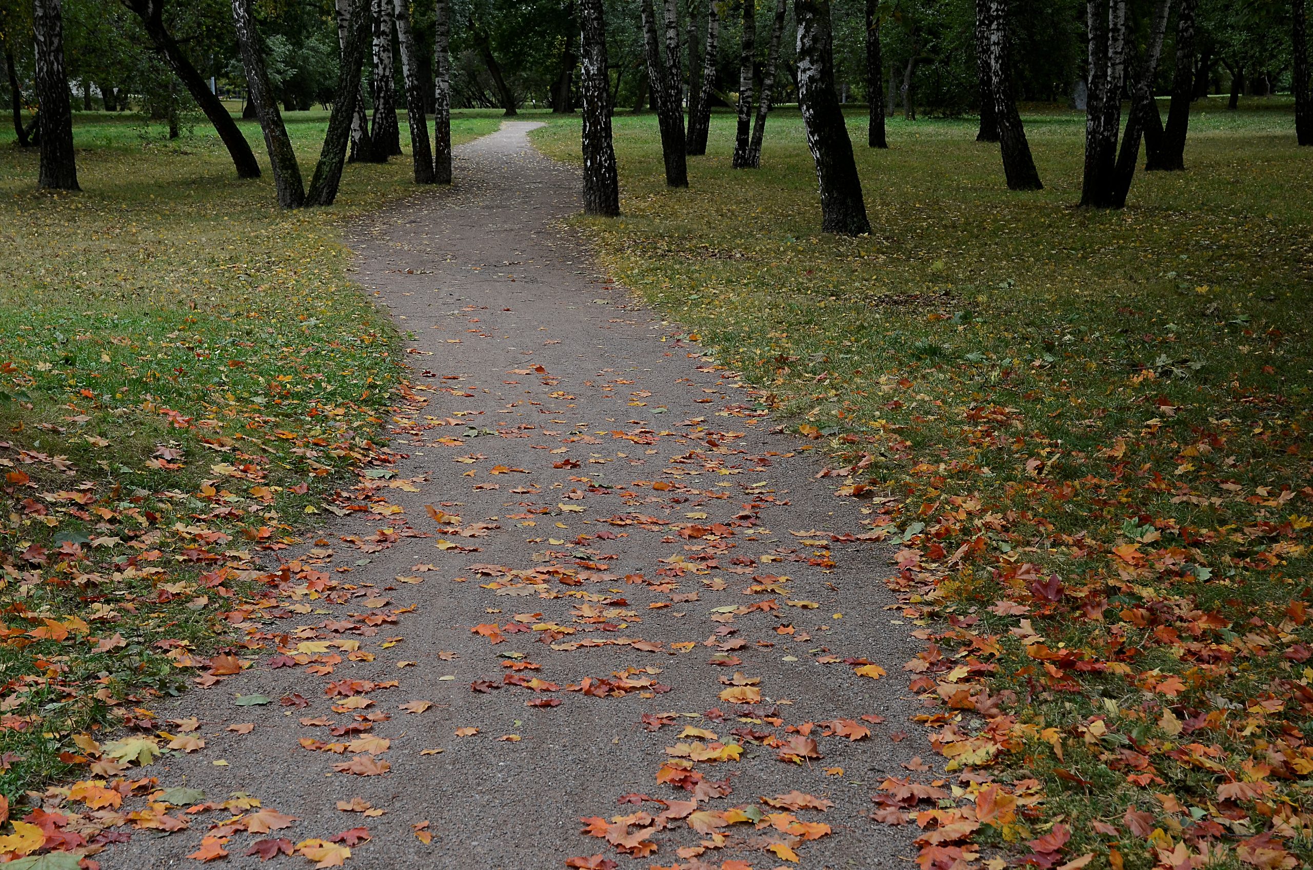 Фото: Анна Быкова, «Вечерняя Москва»