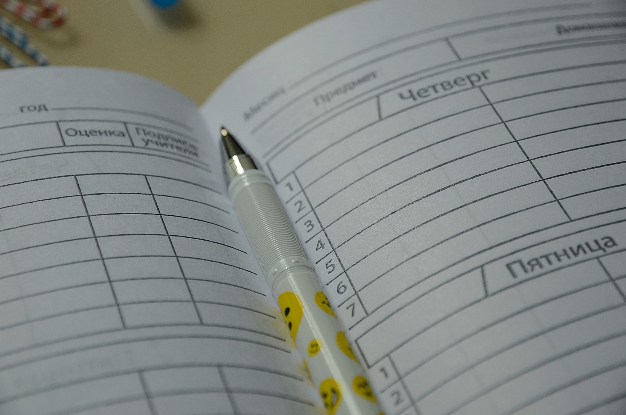 Фото: Анна Быкова, «Вечерняя Москва»