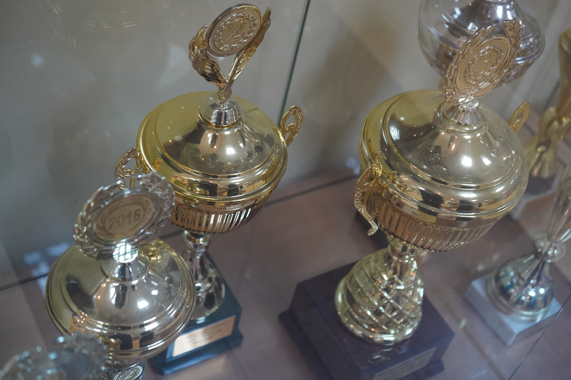 Спортмены МКСШОР «Юг» стали призерами бейсбольного чемпионата. Фото: Анна Быкова, «Вечерняя Москва»