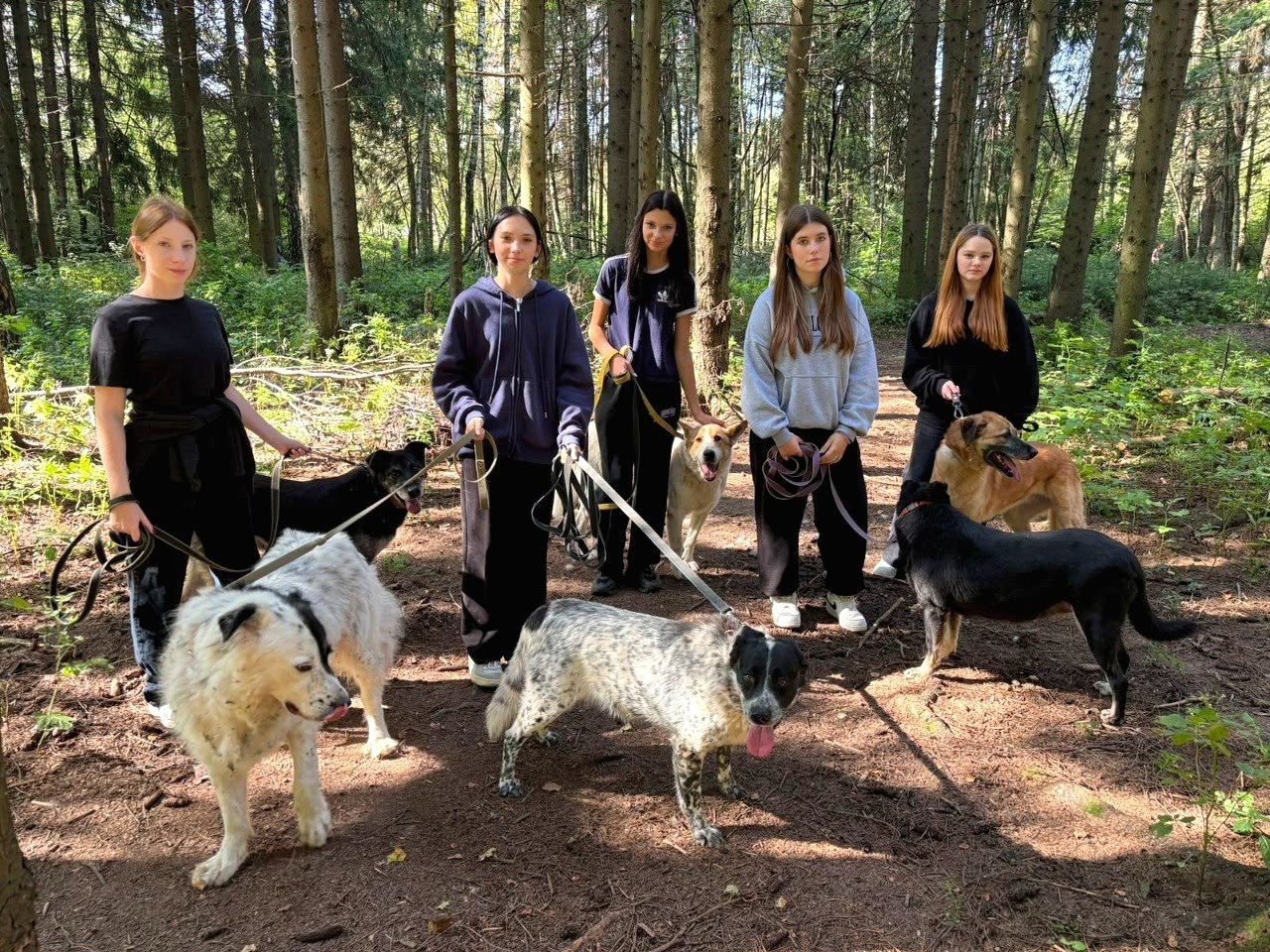 Студенты ОКГ «Столица» посетили приют для бездомных животных. Фото: официальная страница Образовательного комплекса градостроительства «Столица» в социальных сетях