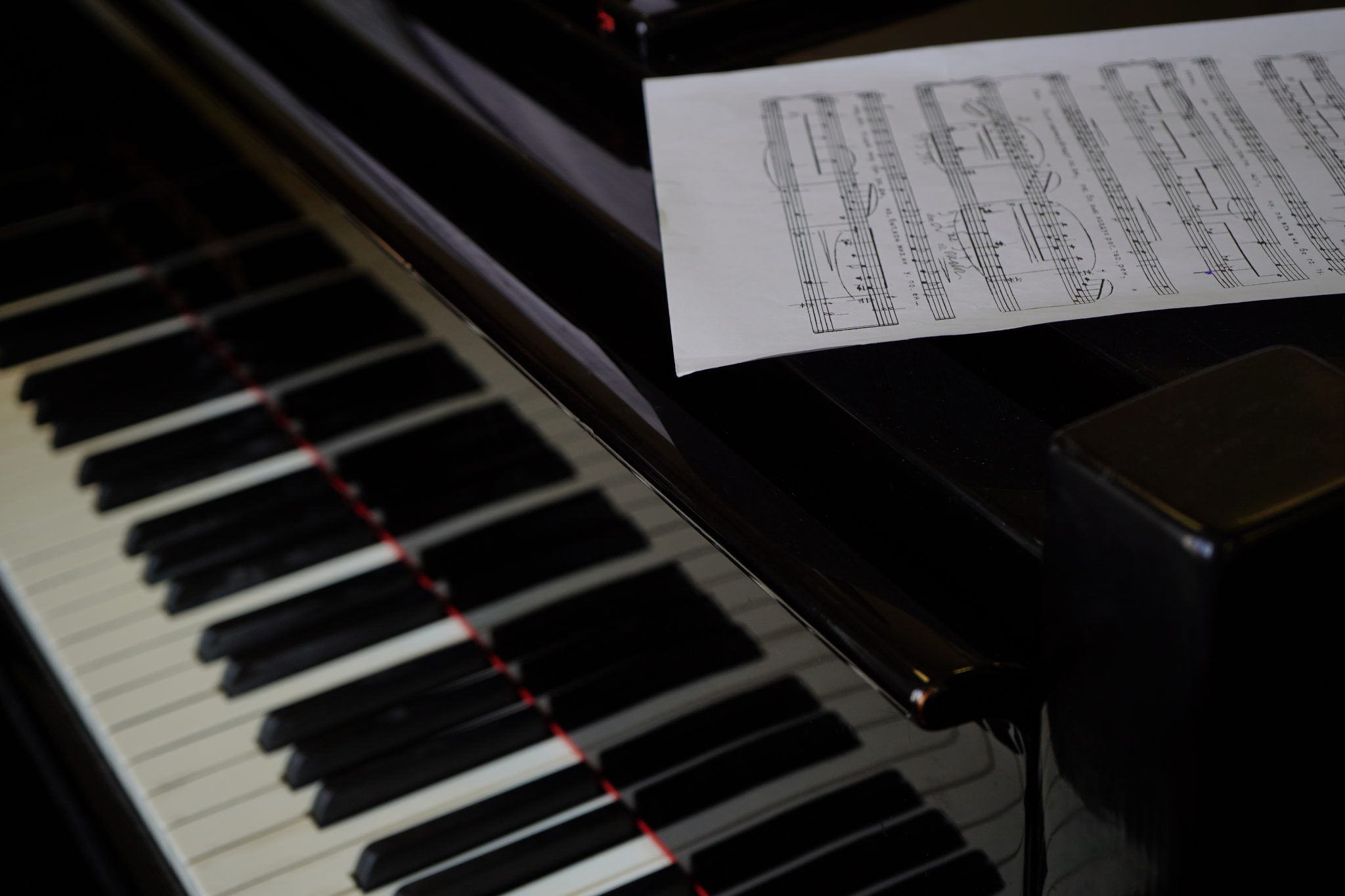 Концертную программу анонсировали сотрудники ЦМД «Зябликово». Фото: Анна Быкова, «Вечерняя Москва»