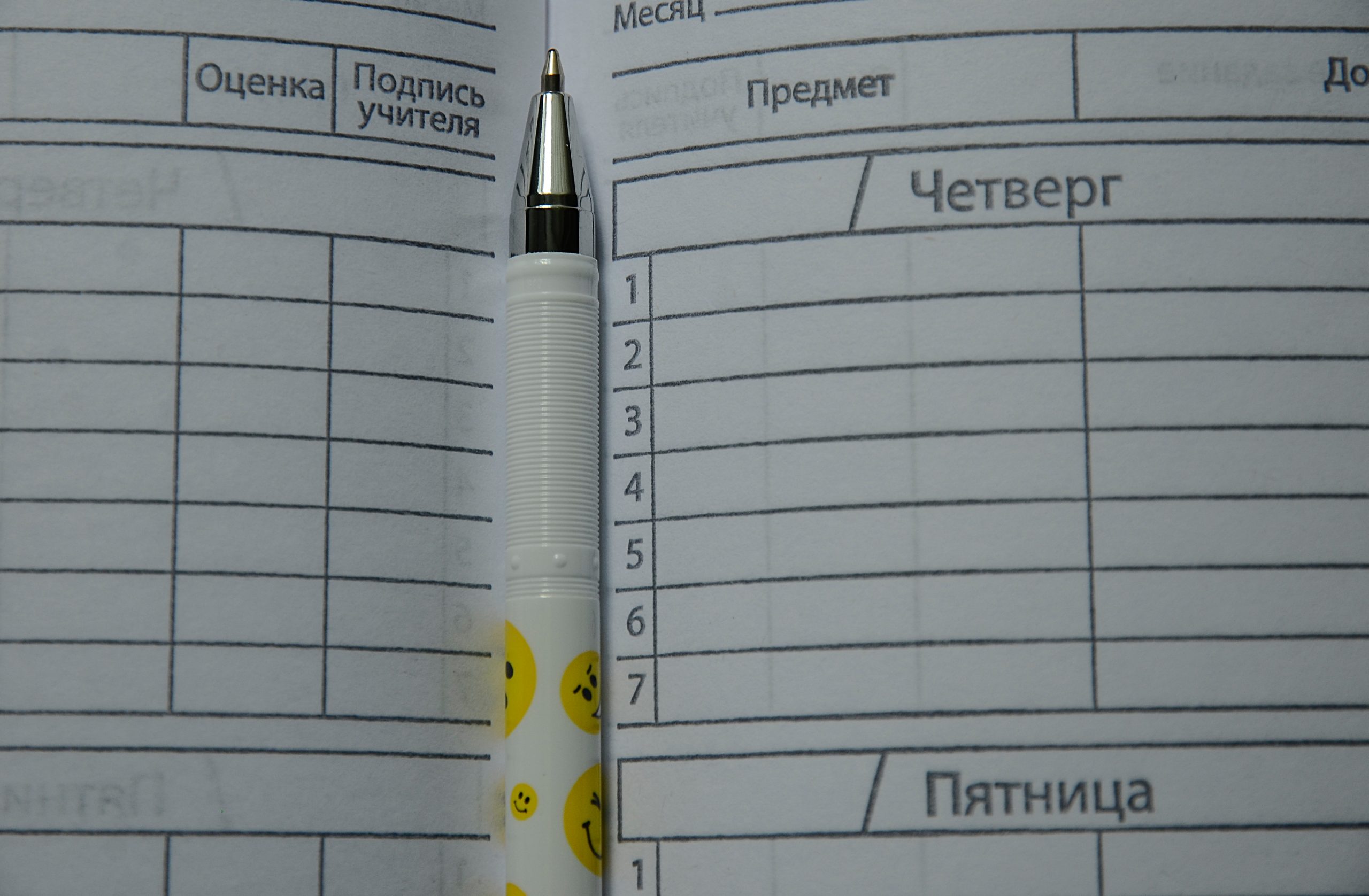 Фото: Анна Быкова, «Вечерняя Москва»