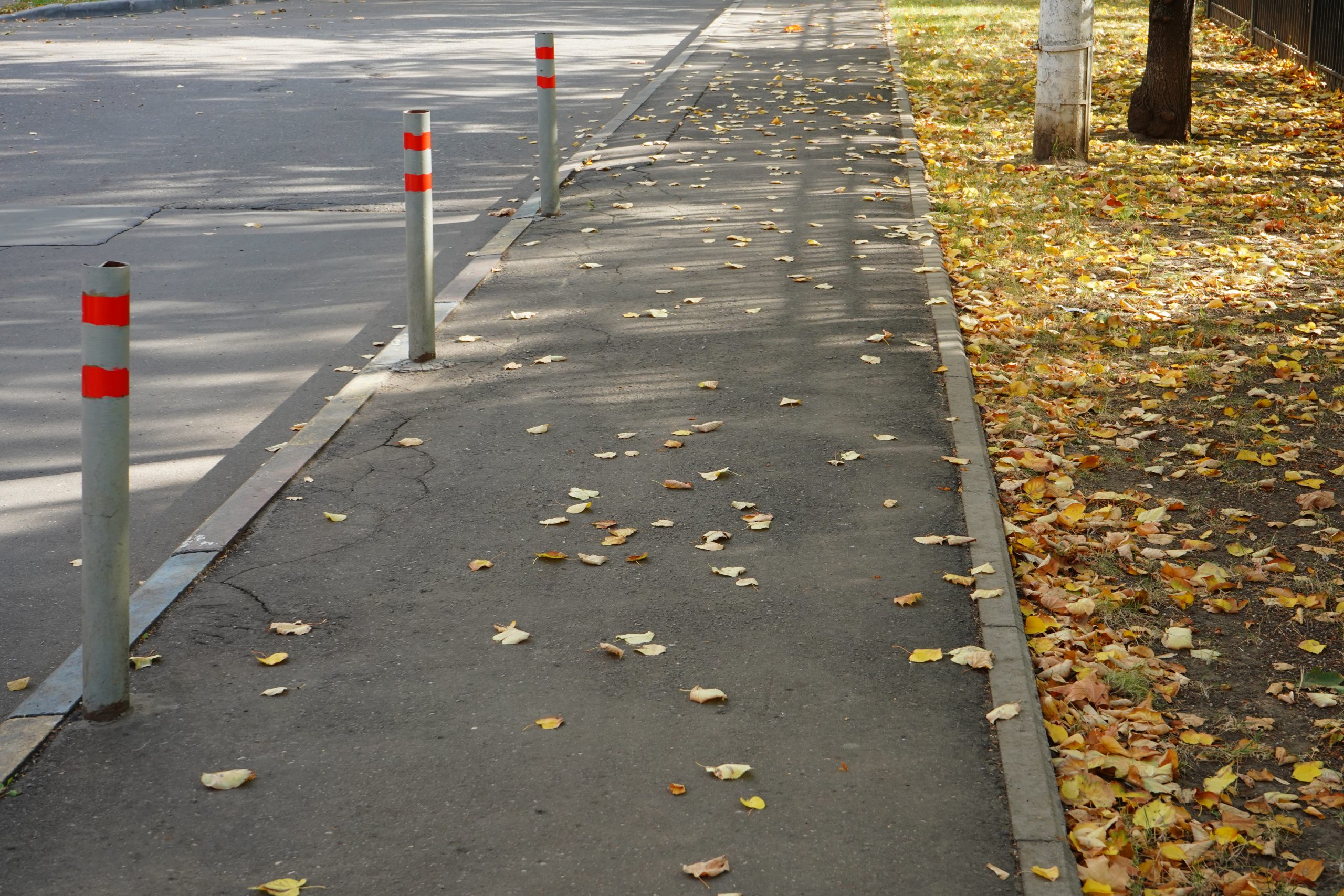Фото: Анна Быкова, «Вечерняя Москва»