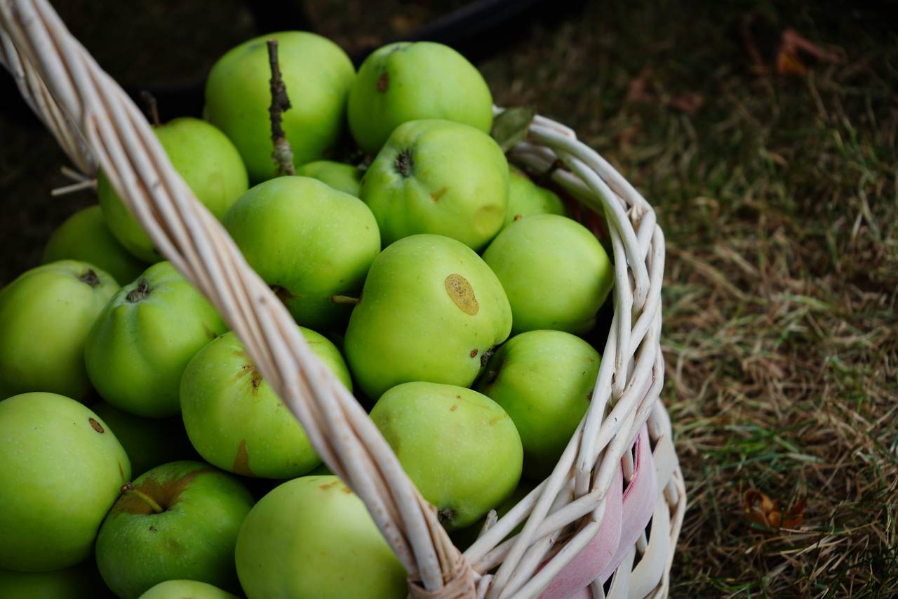Мероприятие о правильном питании состоится в библиотеке №145. Фото: Анна Быкова, «Вечерняя Москва»