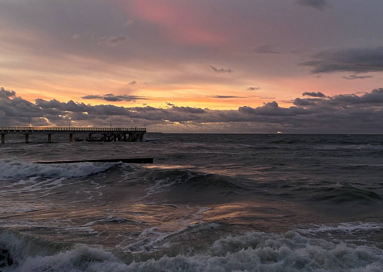 Мероприятие «Знакомое и загадочное» проведут в библиотеке №145. Фото: Анна Быкова, «Вечерняя Москва»