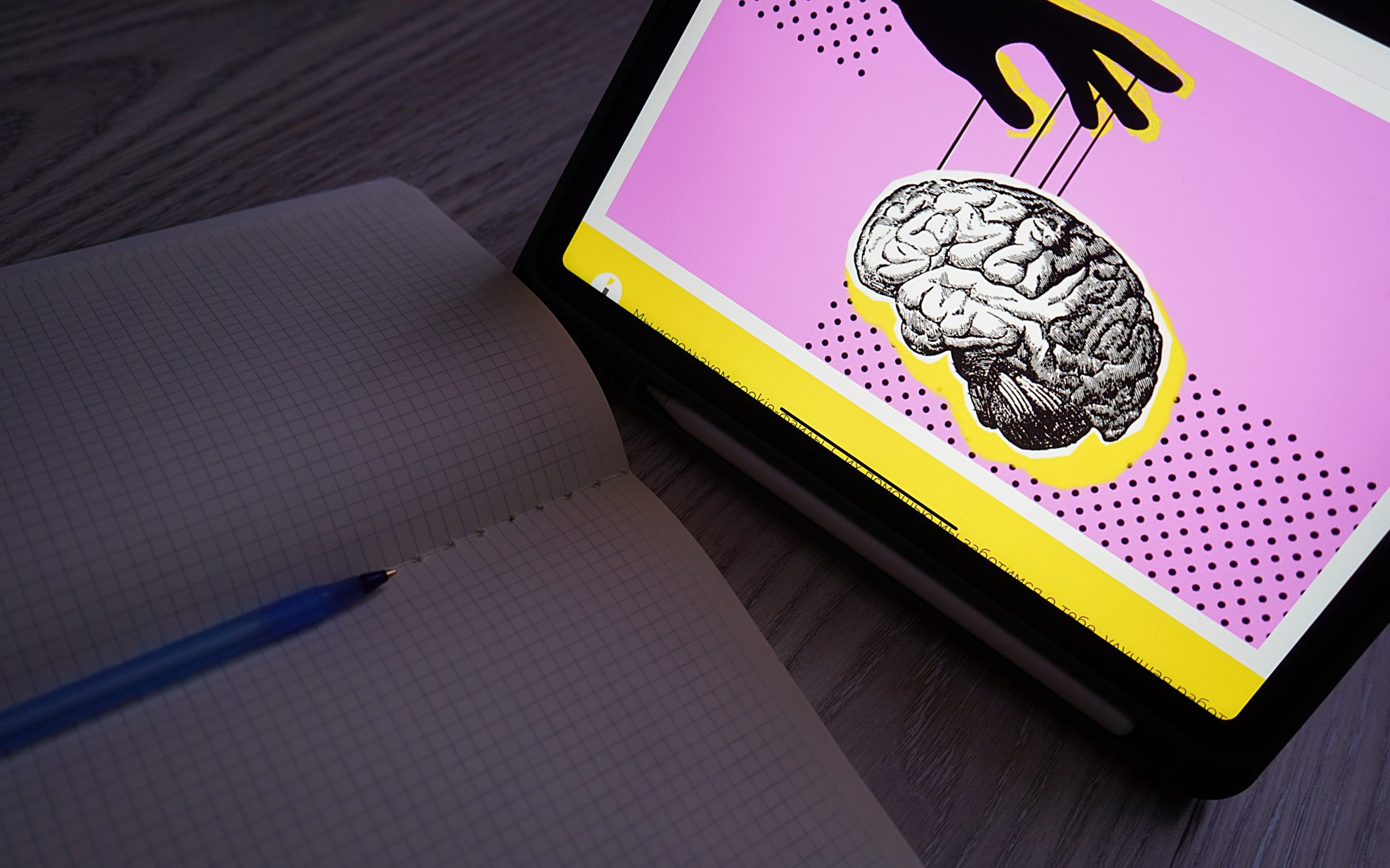 Психологический тренинг состоится в СЦ «Планета Семьи». Фото: Анна Быкова, «Вечерняя Москва»