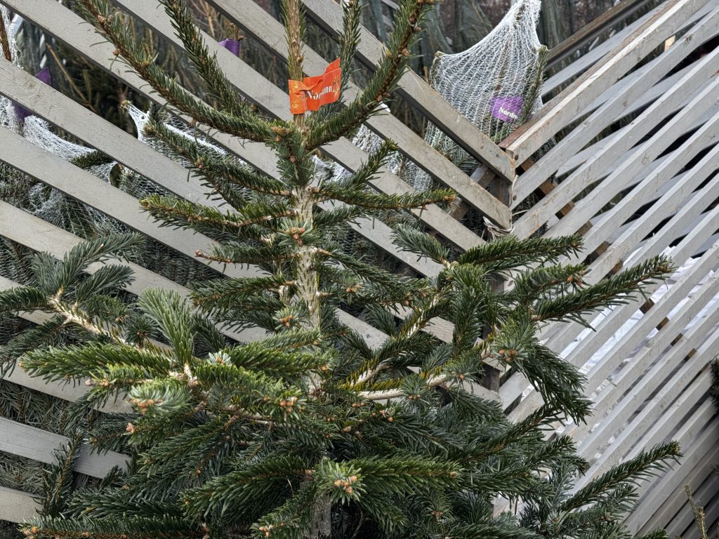 Фото: Роман Зубарев