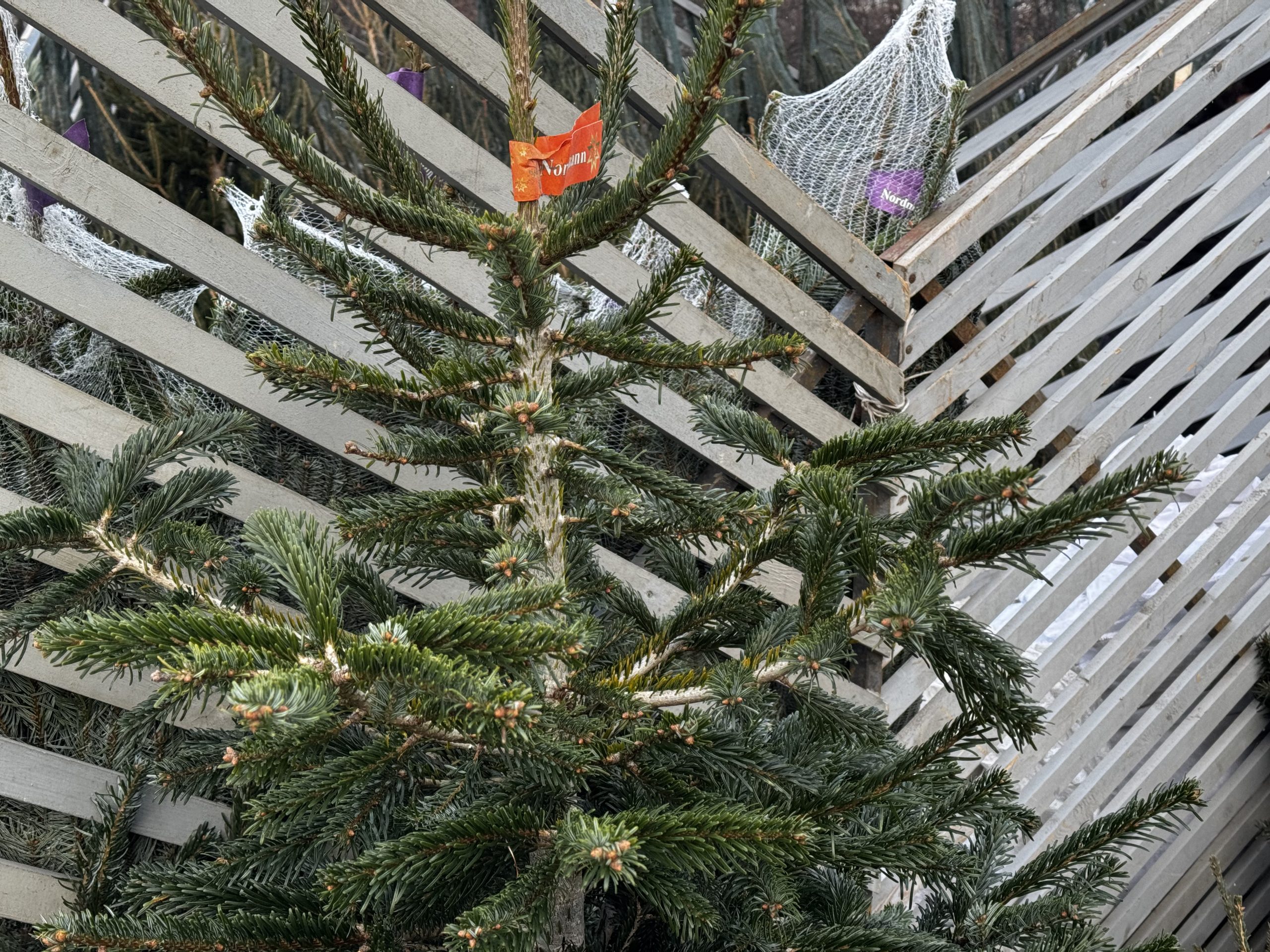 Фото: Роман Зубарев