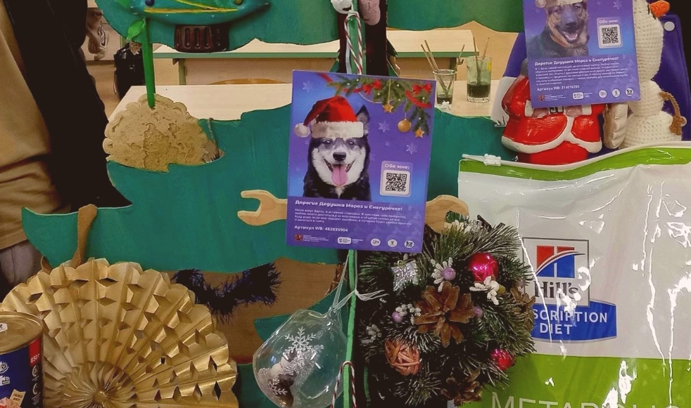 Волонтеры ОКГ «Столица» стали участниками новогодней благотворительной акции. Фото: официальная страница Образовательного комплекса градостроительства «Столица» в социальных сетях