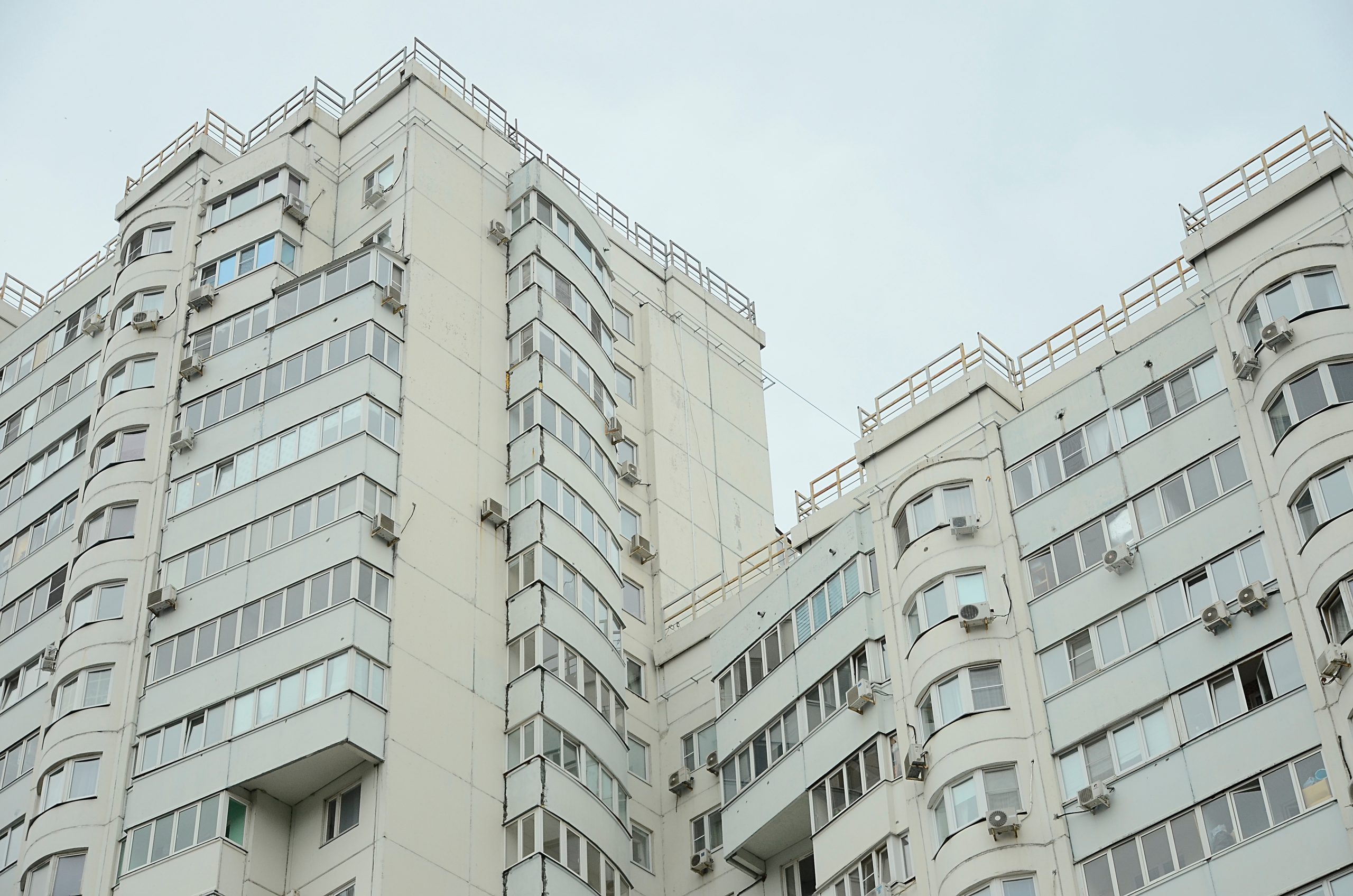Фото: Анна Быкова, «Вечерняя Москва»